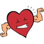 Heart with muscle